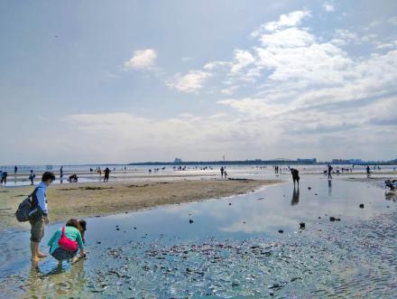 葛西海浜公園写真②