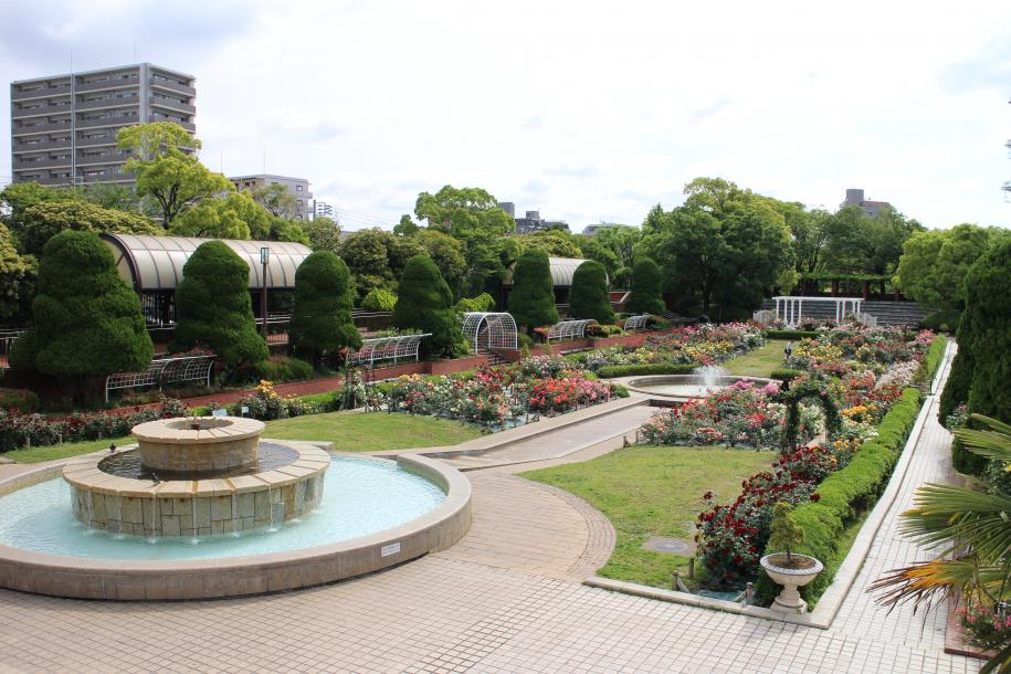 総合レクリエーション公園