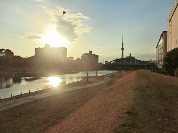 写真　旧中川の夕方の風景