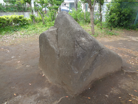 写真　東部フレンド公園2