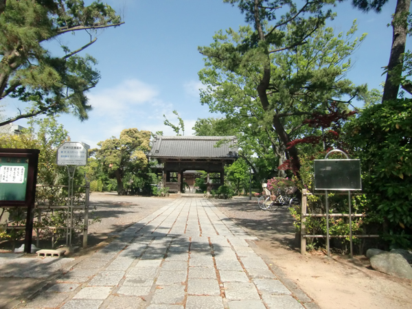 写真　大雲寺