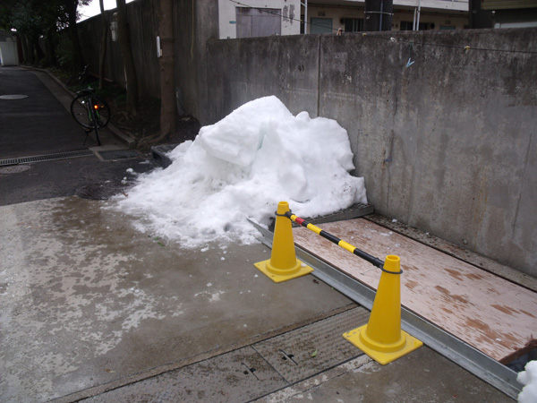 写真　スポーツランドの雪