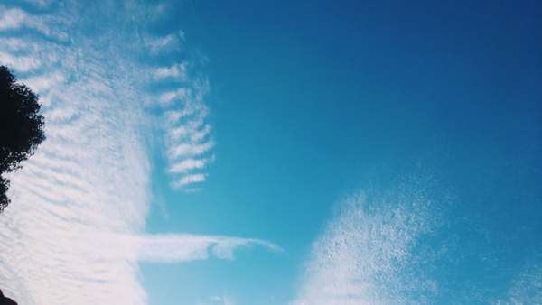 写真　青空と雲