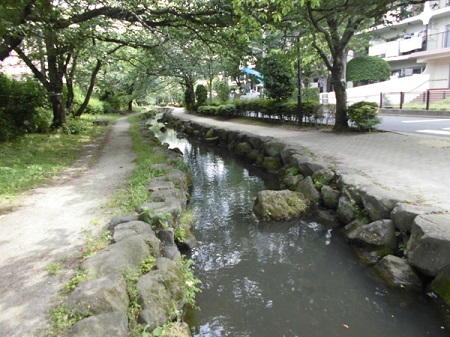 写真　篠田堀親水緑道1