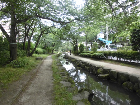 写真　篠田堀親水緑道2