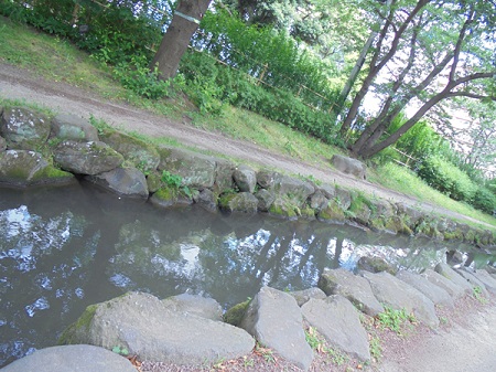 写真　篠田堀親水緑道3