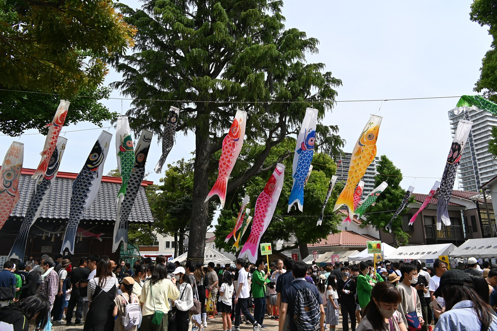 下小岩縁日まつり1