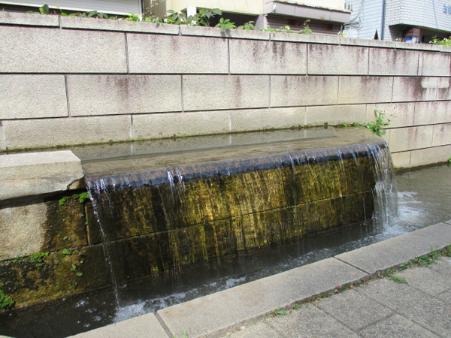 写真　東井堀親水緑道1