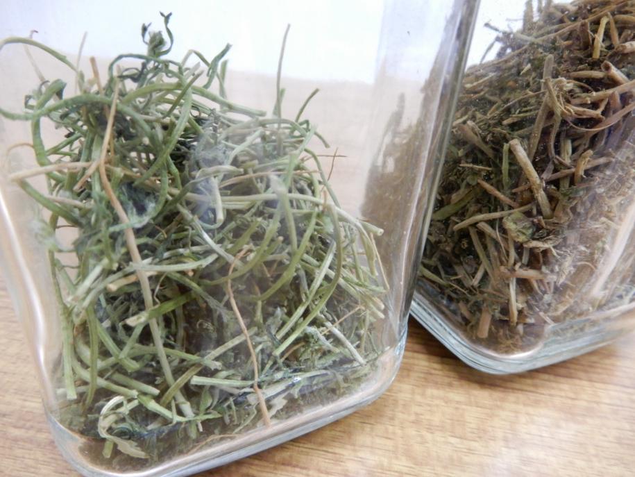 茶葉