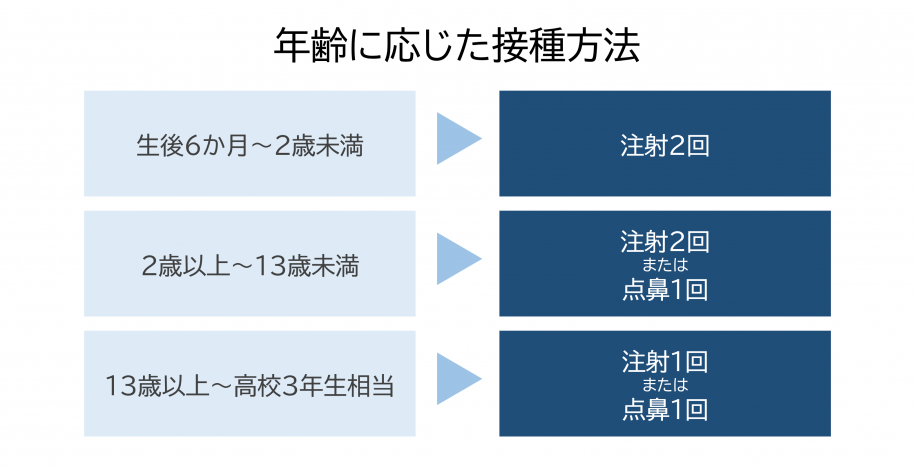 生後6か月~2歳未満は注射2回 2歳以上13歳未満は注射2回または点鼻1回 13以上高校3年生相当は注射または点鼻1回