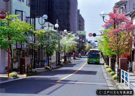 写真　時代の変遷映す今井街道2