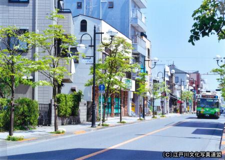 写真：時代の変遷映す今井街道1