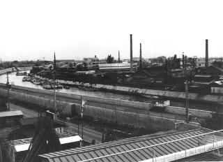旧江戸川の中州妙見島昔