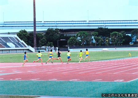 写真　天然芝の江戸川区陸上競技場4