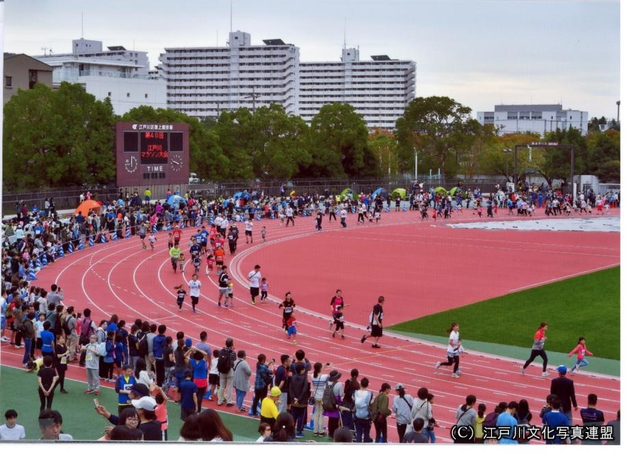 天然芝の江戸川区陸上競技場