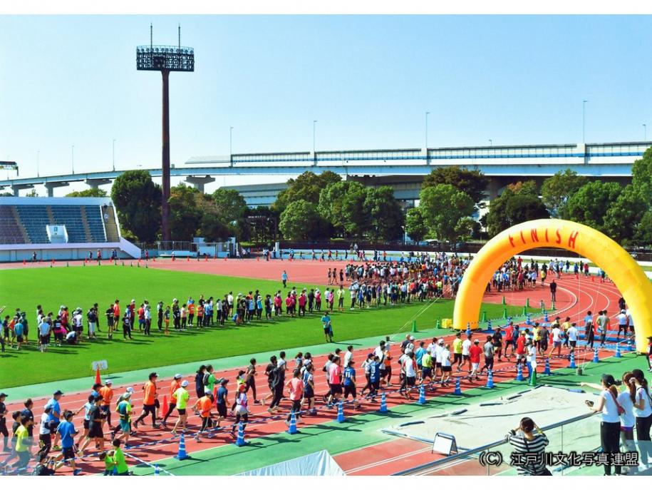 天然芝の江戸川区陸上競技場05