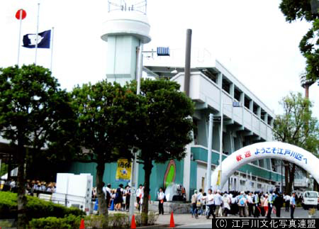 写真　天然芝の江戸川区陸上競技場5