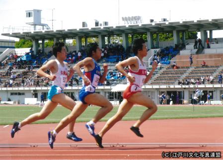 陸上女子 天然 日刊スポーツ