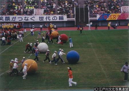 写真　天然芝の江戸川区陸上競技場6