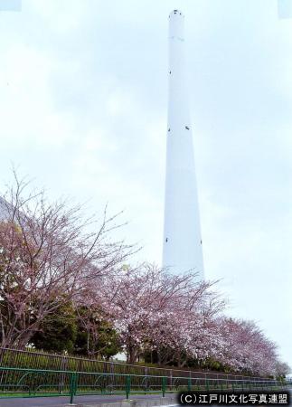 写真　煙突そびえる江戸川清掃工場2