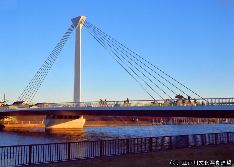 杉にちなんだ斜張橋　大杉橋