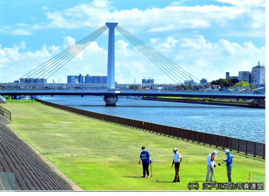 杉にちなんだ斜張橋　大杉橋