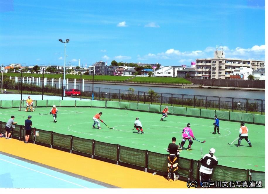 水辺のスポーツガーデン　自慢のローラーコート