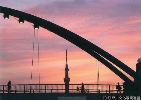 写真　人にやさしい旧中川ふれあい橋9