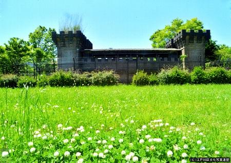 写真　新旧歴史を刻む小松川閘門2