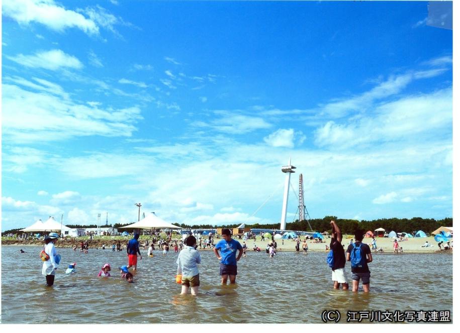 甦った水辺　葛西海浜公園