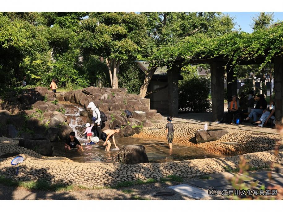 水遊びと森林探検　瀬戸口公園07