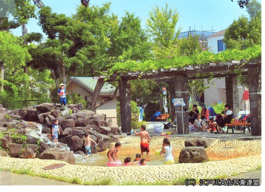 水遊びと森林探検　瀬戸口公園