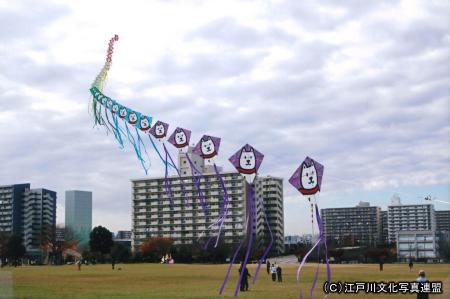 大島小松川公園の芝生大空間で凧あげ