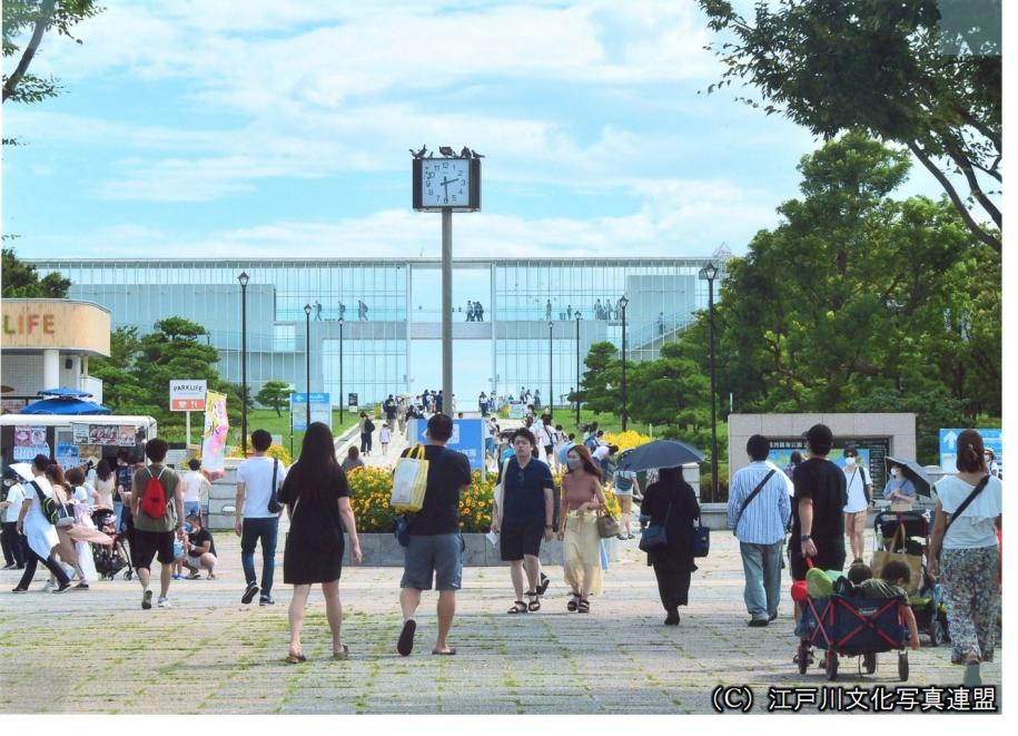 葛西臨海公園の主景　水族園と展望広場