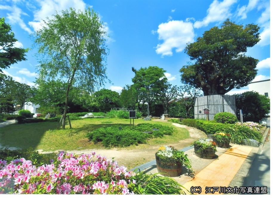 学び場の記憶　一之江分教場の杜
