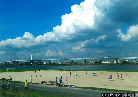 写真 花と緑いこいの場 荒川河川敷（グラウンド）