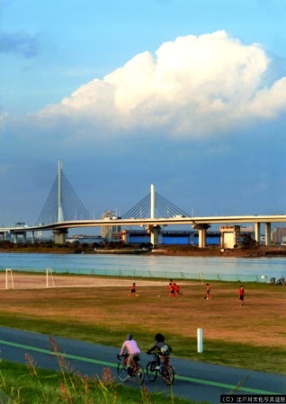 写真 花と緑いこいの場 荒川河川敷（陸橋）