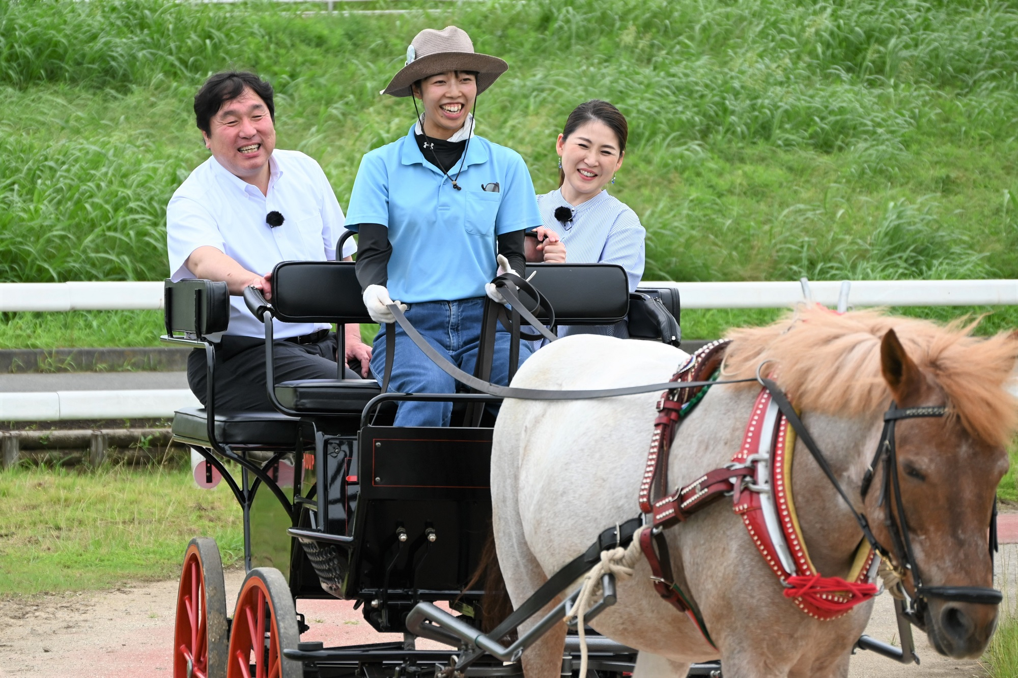 篠崎ポニーランドで馬車に乗る区長