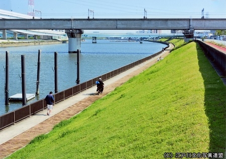 中川遊歩道