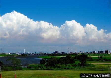 写真　春を告げる鮎の遡上　江戸川2