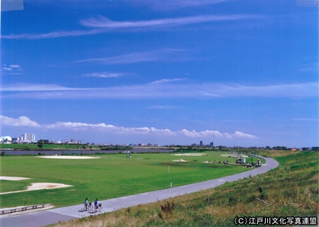 写真　空の広がり　江戸川堤防2