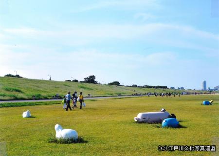 写真　空の広がり　江戸川堤防1