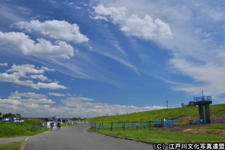 写真　空の広がり　江戸川堤防