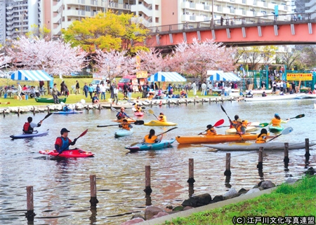 写真　水上スポーツ体験　旧中川ボートフェスティバル4
