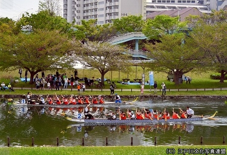 旧中川ボートフェスティバル02