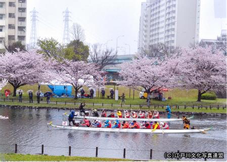 写真　水上スポーツ体験　旧中川ボートフェスティバル1