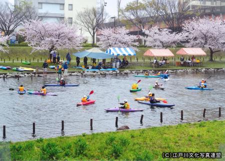 写真　水上スポーツ体験　旧中川ボートフェスティバル2