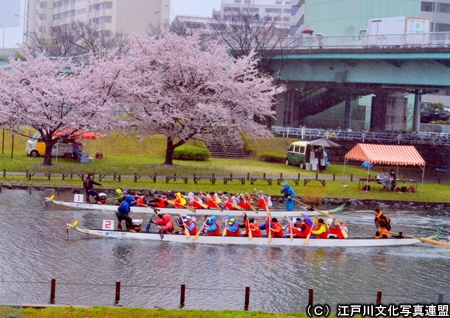 旧中川ボートフェスティバル