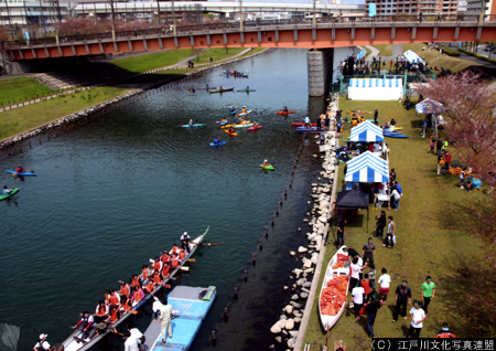 写真　水上スポーツ体験　旧中川ボートフェスティバル5
