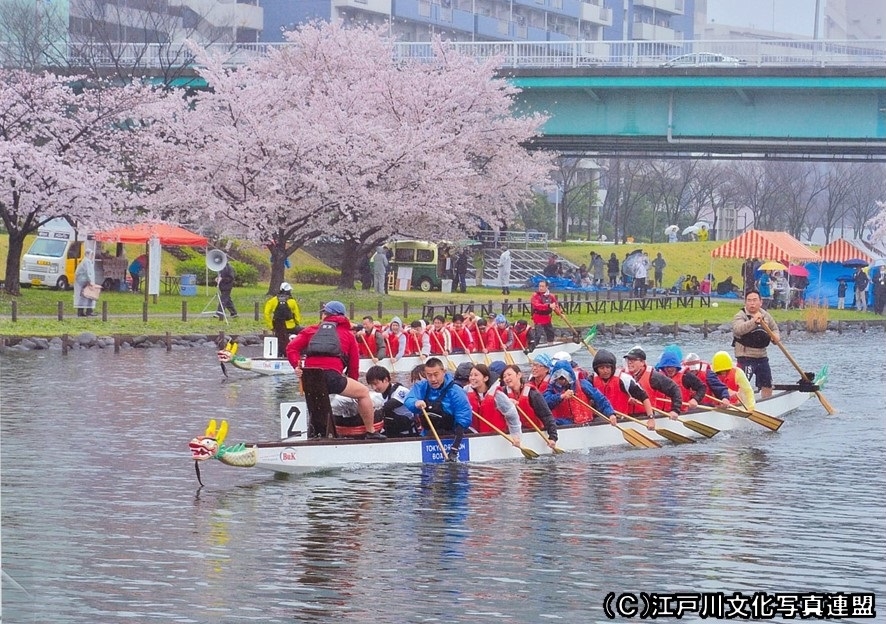 写真　旧中川ボートフェスティバル